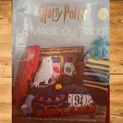 HARRY POTTER volume 1 - Pic et Coud Buchy